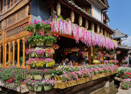 Cina Imperiale e Colorfur Yunnan